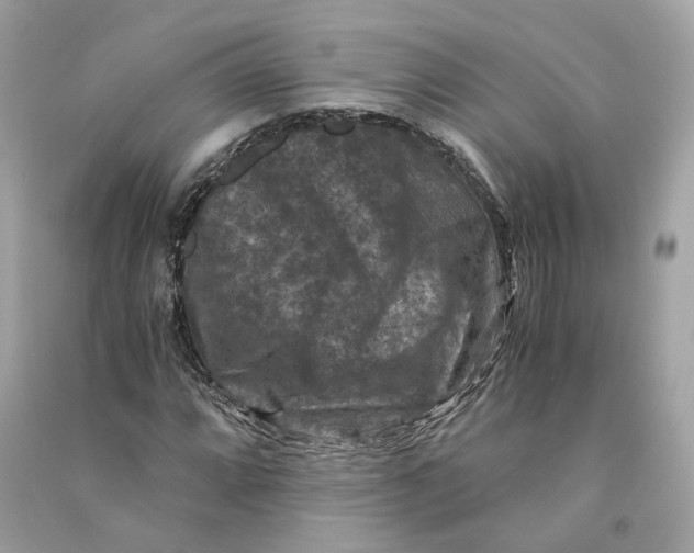 X0000090761064200708101742