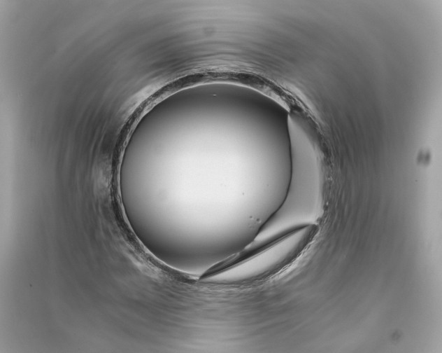 X0000090761065200708101742