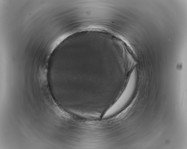 X0000090761066200708101742