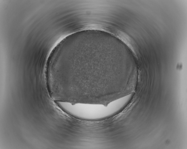 X0000090761068200708101742