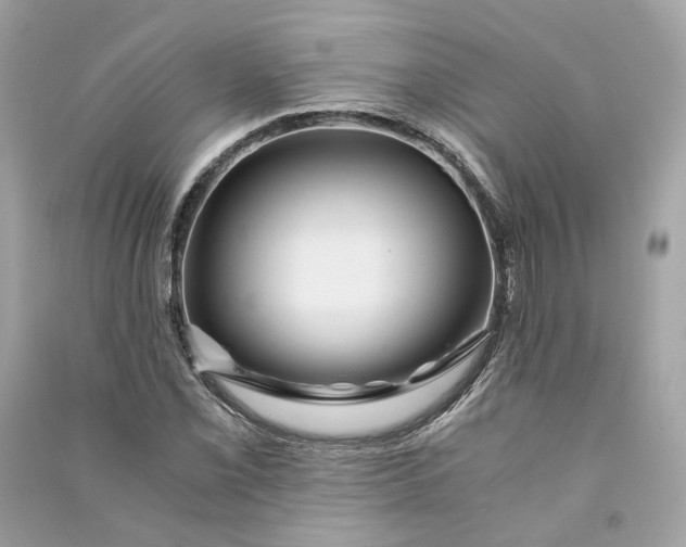 X0000090761069200708101742