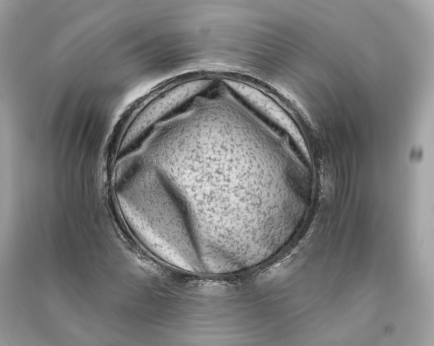 X0000090761070200708101742