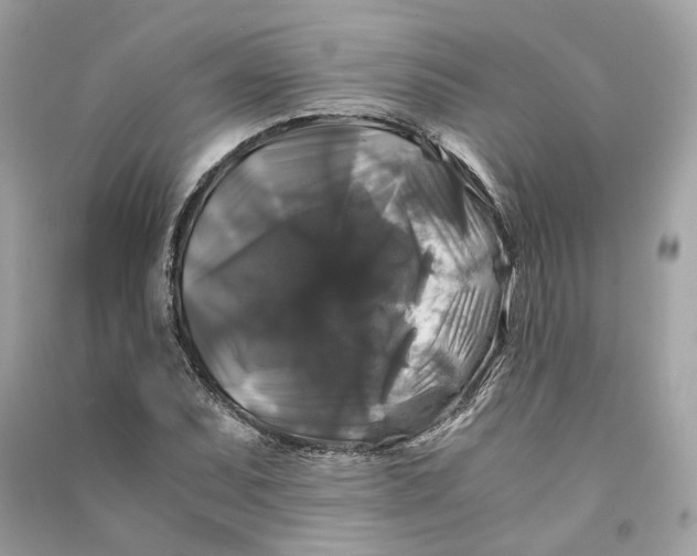 X0000090761071200708101742