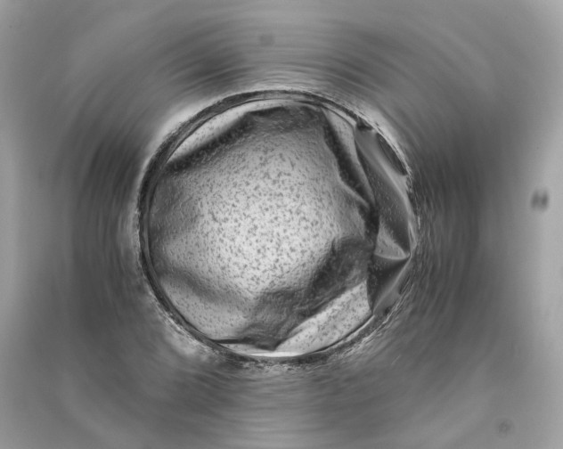 X0000090761072200708101742