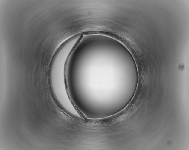 X0000090761073200708101742