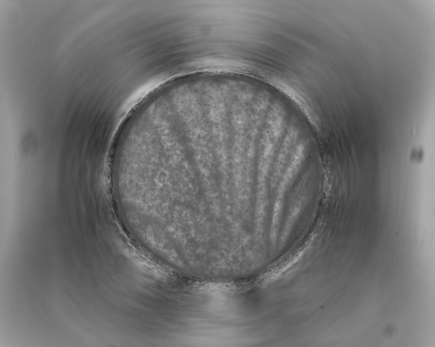 X0000090761074200708101742