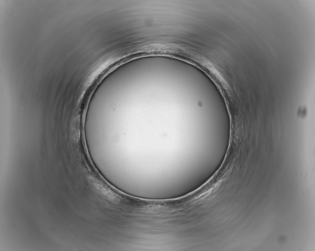 X0000090761075200708101742