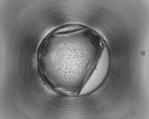 X0000090761076200708101742