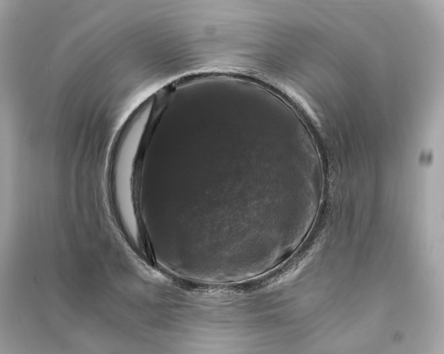 X0000090761077200708101742