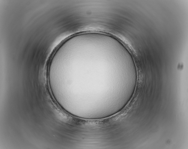 X0000090761078200708101742