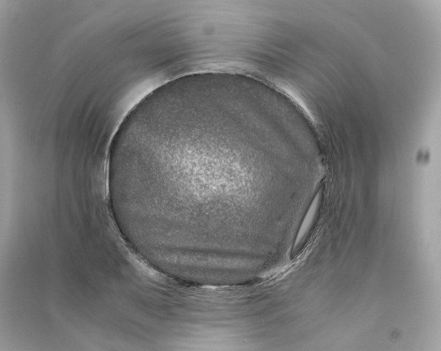 X0000090761079200708101742