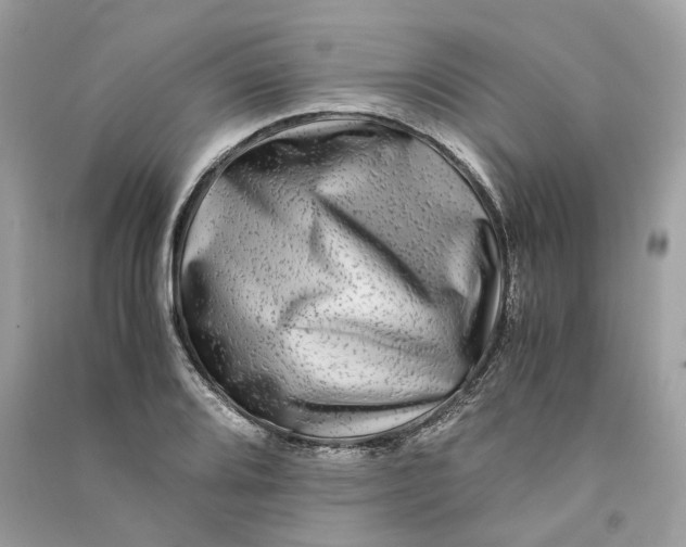 X0000090761080200708101742