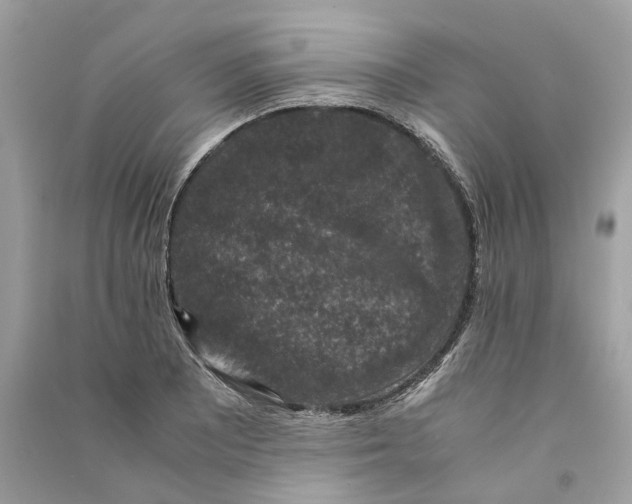 X0000090761081200708101742