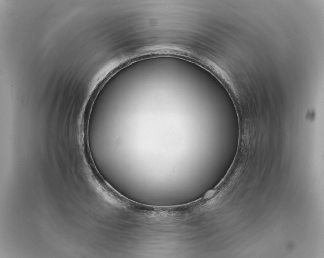 X0000090761082200708101742