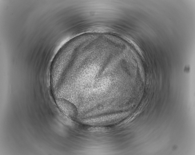 X0000090761083200708101742