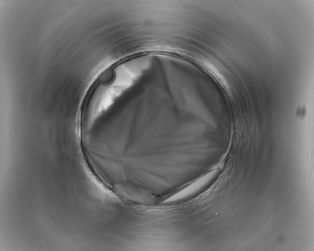 X0000090761084200708101742