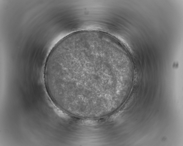 X0000090761086200708101742