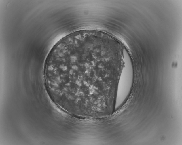 X0000090761087200708101742