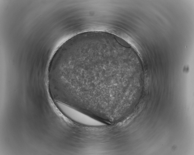 X0000090761088200708101742