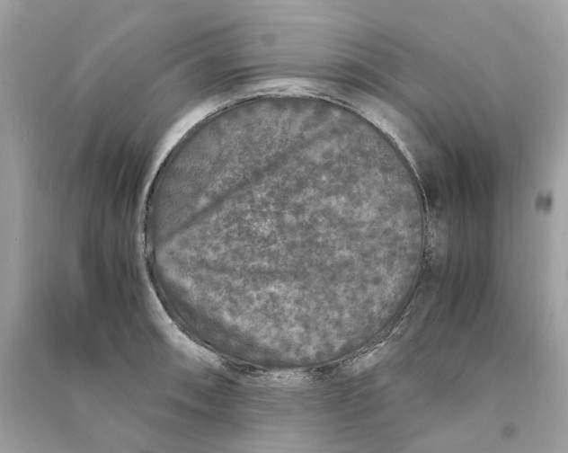 X0000090761090200708101742