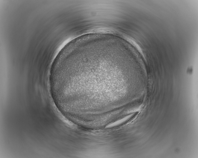 X0000090761091200708101742