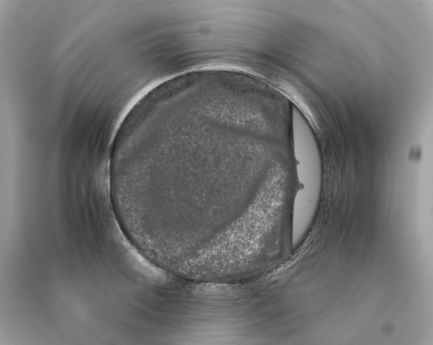 X0000090761092200708101742