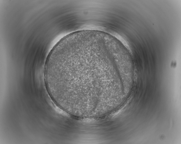 X0000090761094200708101742