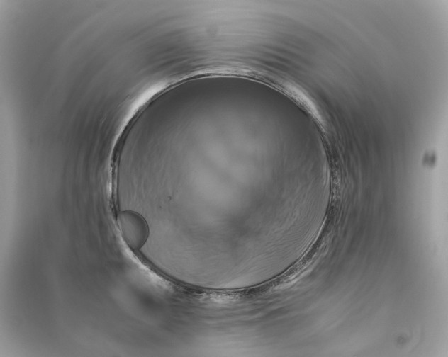 X0000090761095200708101742