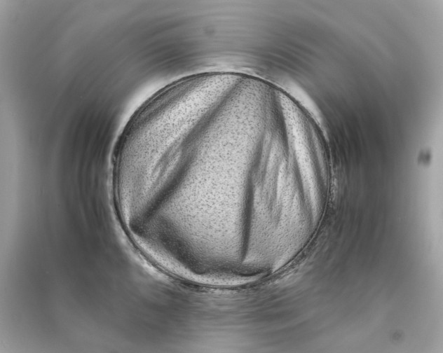 X0000090761096200708101742