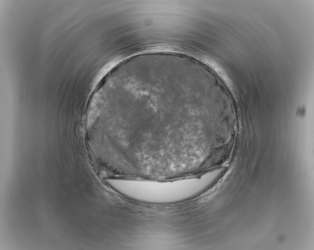 X0000090761097200708101742