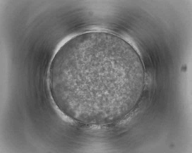 X0000090761098200708101742