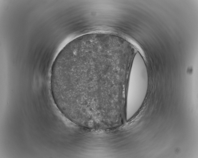 X0000090761099200708101742