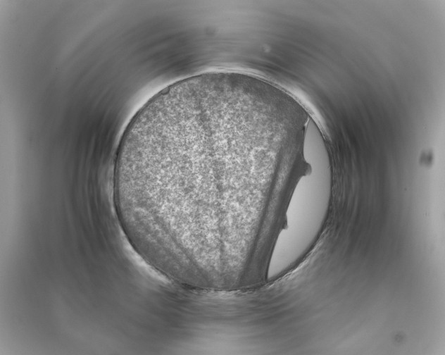 X0000090761100200708101742