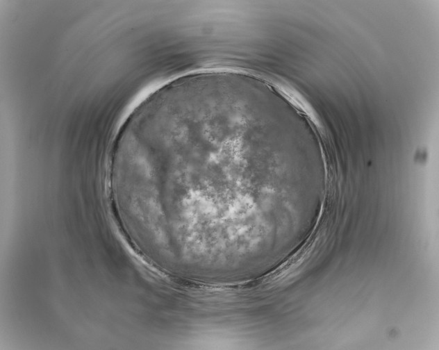 X0000090761101200708101742