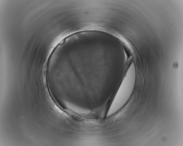 X0000090761102200708101741