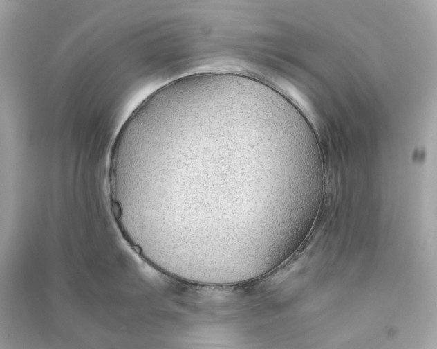 X0000090761103200708101741