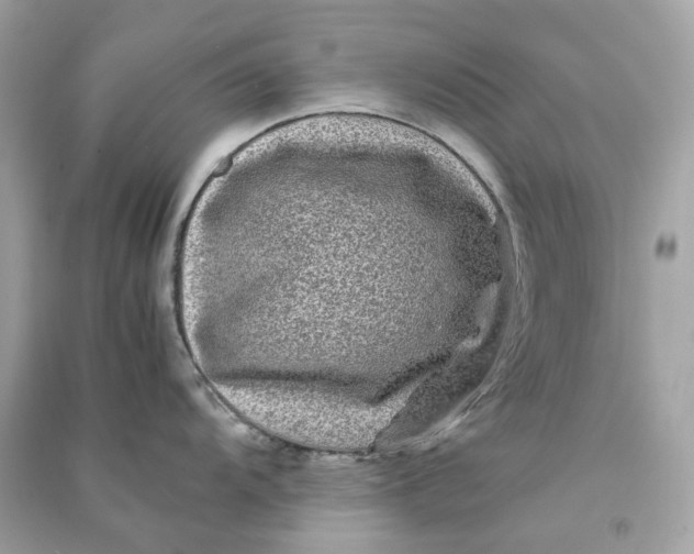 X0000090761104200708101741