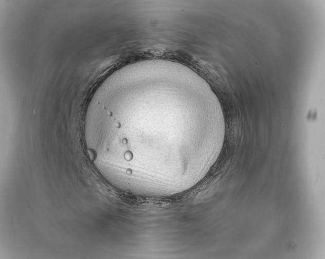 X0000090761105200708101741