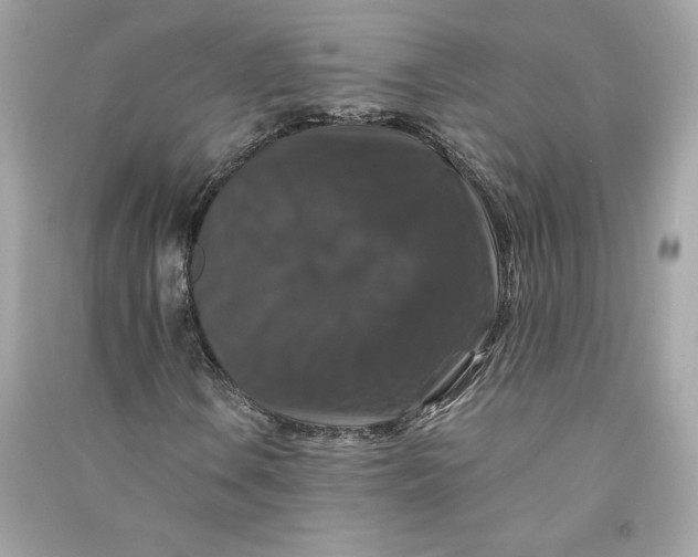 X0000090761106200708101741