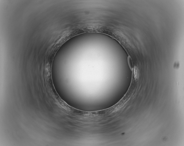 X0000090761107200708101741