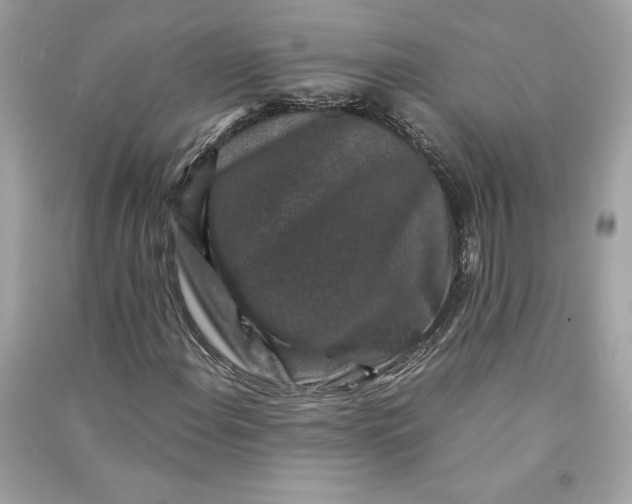 X0000090761108200708101741