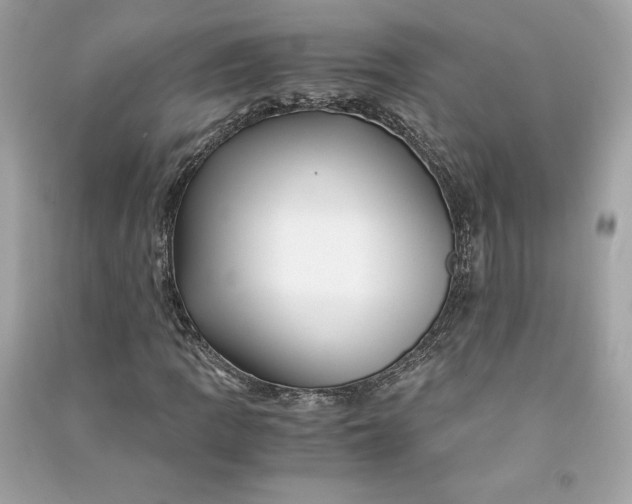 X0000090761109200708101741