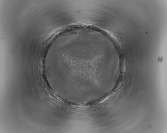 X0000090761110200708101741