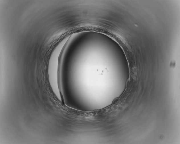 X0000090761111200708101741