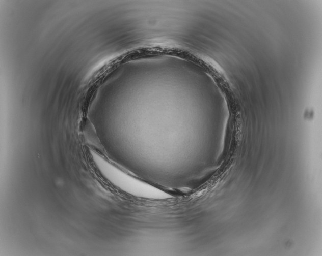 X0000090761112200708101741