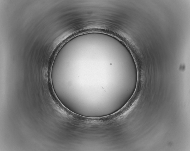 X0000090761113200708101741