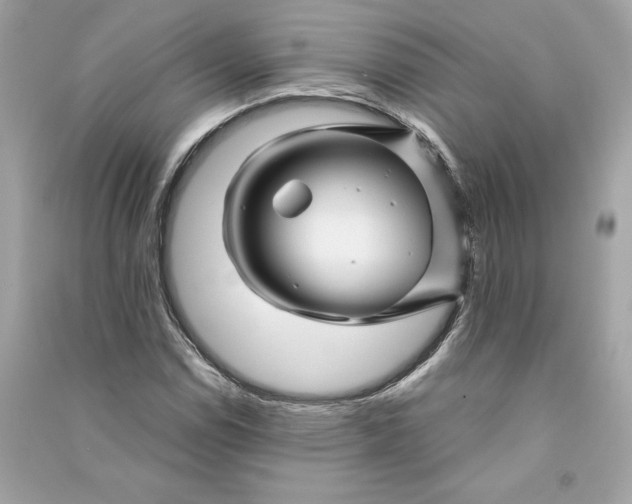 X0000090761114200708101741