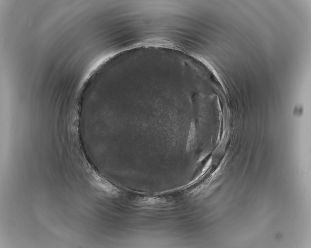 X0000090761115200708101741