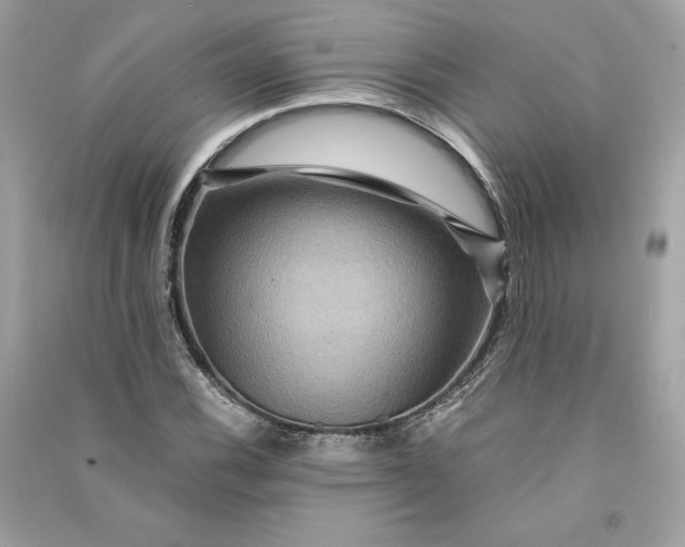 X0000090761116200708101741