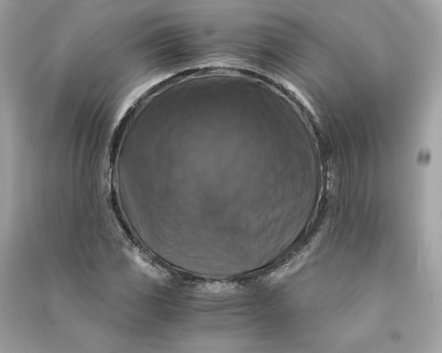 X0000090761117200708101741